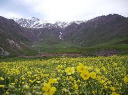Iraq Terrain Places To Travel Natural Landmarks Landscape