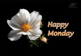We did not find results for: Good Morning Monday Flowers Archives Good Morning Flower Images And Quotes Free Download Hd