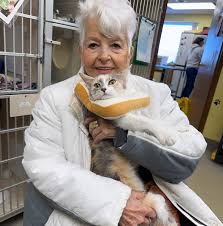 A wonderful woman named Diane came into our shelter earlier this week  looking to adopt a kitty. Sadly her cat passed away recently and she was  looking to welcome a new companion