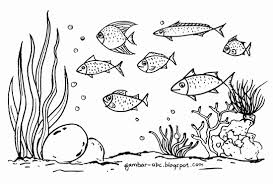 Hello gaes,, ini adalah animasi lomba ikan cupang !! Gambar Ikan Kartun Hitam Putih Literatur