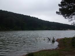 Güzel bir manzara, temiz hava. (6 i̇pucu) Aydos Golu Mapio Net