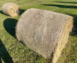 Fil İçin Dev Saman Balyası