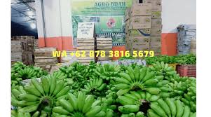 Jika anda sering berbelanja ke pasar tradisional. Jual Beli Pisang Mas Kirana Agro Buah 62 878 3816 5679