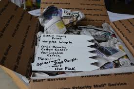 Just like with pets, live plants need extra care when shipping to ensure they arrive healthy. How To Ship Plants By U S Mail Ups Or Fed Ex Mike S Backyard Nursery