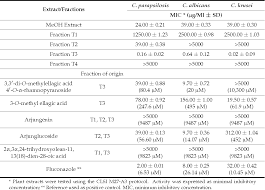 Image result for Terminalia brachystemma