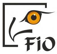 From ancient greek φῖ (phî, the letter φ). Feria Internacional De Turismo Ornitologico