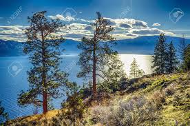 Visit the official nissan canada site for cars, trucks, sedans, sports cars, electric vehicles, suvs & crossovers. Mit Blick Auf Okanagan Lake Peachland Britisch Kolumbien Kanada In Der Nahe Von Kelowna Lizenzfreie Fotos Bilder Und Stock Fotografie Image 50527945