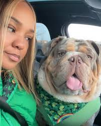 HAPPY HAPPY BIRTHDAY BARKLEY! Welcome to year 2 big boy! I could never  imagine my life without you in it! The positive impact and joy you bring to  others is priceless. It's