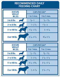 Dog Food Dog Food Chart