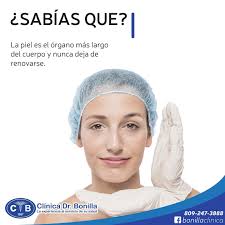 La piel es el órgano más grande del cuerpo humano, en un adulto promedio  posee una superficie aproximada de 2 metros cuadrados y pesa alrededor de 5  kg. Está en permanente relación