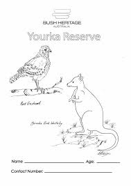Animal Colouring In Sheets For Kids Australian Animals Color Coloring Pages