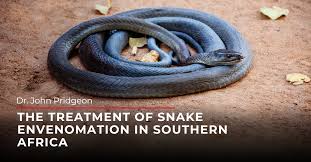 Image result for Envenomation
