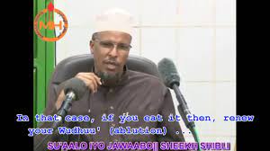If a person does wudoo' after eating camel meat, that will extinguish the devilish energy and will put an end to any negative consequences 2. Fatwa Does Eating Camel Meat Nullify Ablution Sh Shibli With Subtitles Youtube