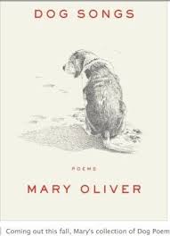 New Mary Oliver Book Coming Out In October Mary Oliver Hunde Gedichte Hunde