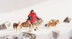 How He Traveled The World Greenland Norway Canada Paul Filmed Disney S Eight Below In 2 Paul Walker Paul Walker Movies Hbo Go