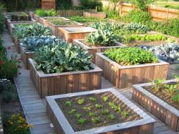 Construire Un Potager Sureleve Pour Jardiner Debout Potager Sureleve Jardin Potager Amenagement Jardin