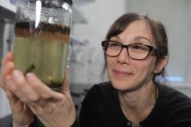 Microplastics found in some Canadian bottled water