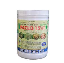 Parlo 20WP