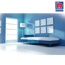 nippon paint home painting service in chetpet chennai