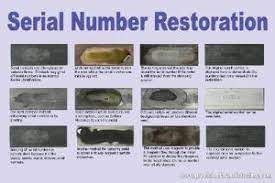 Serial Number Restoration Poster Ward S Science