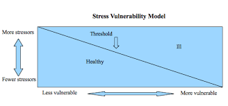 Stress Vulnerability Model Mm Ingram Price Social Work Vulnerability Stress
