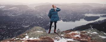 Image result for Caroxylon littoralis