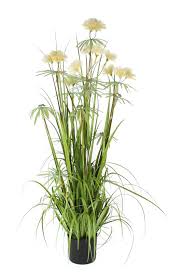 Ornamental grasses make great companions to many other plants, enhancing the whole look of a planting scheme, with contrasting form and foliage. Ornamental Grass Pom Pom 150cm