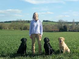 If you have been told not to take your. Leaps And Bounds 4 Pets Dog Training And Home Boarding In South Oxfordshire