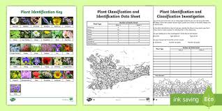 Please be patient to load the online ppt preview. Plant Classification Investigation Classifying Plants