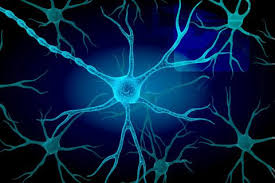 La esclerosis lateral amiotrófica (ela) es una enfermedad degenerativa de tipo neuromuscular. Esclerosis Lateral Amiotrofica Ela Que Es Y Como Combatirla