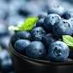 2nd Annual Fort Myers Blueberry Fest