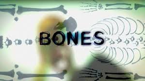 The hope in the horror. Bones Tv Series Bones Wiki Fandom