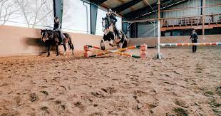 V., neufraunhofen werden von north data zur. Reitunterricht Seumahof
