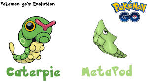 Pokemon Gos Evolution Caterpie Evolves Into Metapod