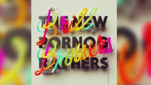 Image result for the new pornographers album covers