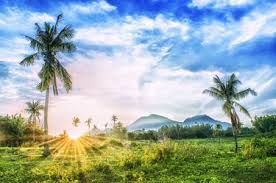 Check spelling or type a new query. Original Landscape Photography From Philippines For Sale Saatchi Art