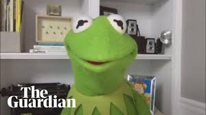 The kermit community on reddit. Kermit The Frog I M A Fan Of Friday Night Lights Television Radio The Guardian