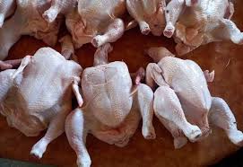 Poulets de chair de 1kg300 à 1kg500