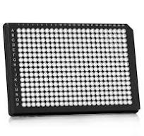 FrameStar® PCR Plate 384 Well, Skirted | Azenta Life Sciences