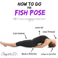 Butterfly pose also known as purna titli asana is similar to the bound angle pose. Matsyasana Steps In Yoga Yoga Anatomy Yoga Asanas Yoga