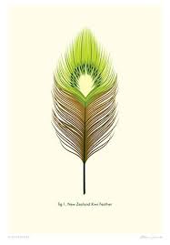 Kiwi Feather Print By Glenn Jones In 2020 New Zealand Tattoo Maori Art Nz Art