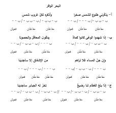 تم الإجابة عليه حل تدريبات البحر الوافر صفحة 13 من الكتاب المدرسي math equations math