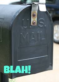 Currently i format my address like this Diy Vinyl Mailbox Numbers That S What Che Said