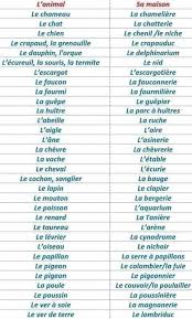 Coursanglaiscollege Learn French French Flashcards French Phrases