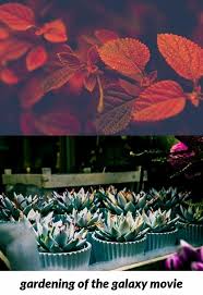 Gardening Of The Galaxy Movie 604 20180822101539 53 Gardening With Kids Animated Pics Gardening Boots W Fall Planters Gardening Magazines Garden Painting