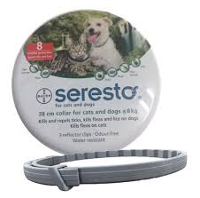 Seresto Collar For Small Dog Cats Petsegypt Com