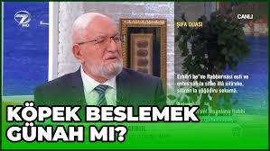 Evde Kedi Beslemek Caiz Mi Nureddin Yildiz Youtube