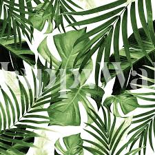 Download this bundle to have unique jungle leaf vectors and design elements to use in your event invites, promotional ads, and more. Buy Tropical Jungle Leaves 12 Wallpaper Free Us Shipping At Happywall Com