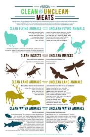 You Shall Therefore Distinguish Between Clean Animals And Unclean Between Unclean Birds And Clean And You Shall Not Make Yourselves Unclean Bible Study Bible