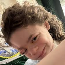 Who can clean the inside of a handicap van in Mason, Ohio?